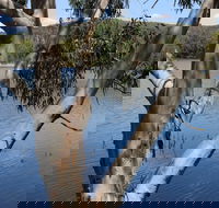 Bumberry Dam - Accommodation NT