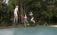 Forest Glen Holiday Resort - thumb 2