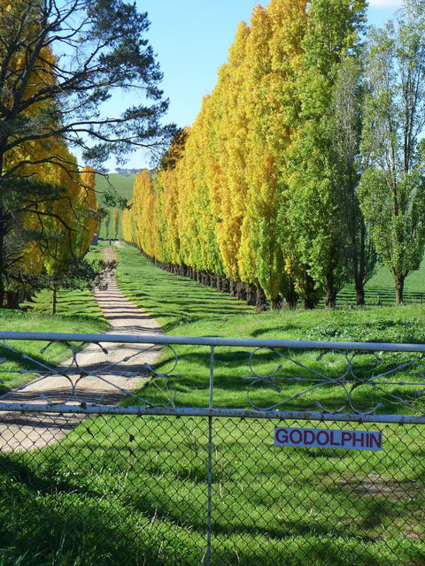 Godolphin Country Accommodation - Accommodation NT 1