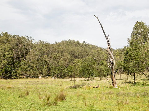 Mountain Arm Campground - Accommodation NT 2