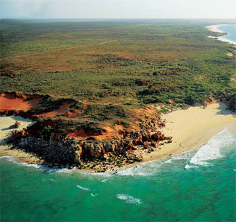 Eco Beach Wilderness Retreat - Accommodation NT 2