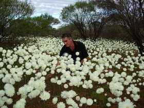 Wandina Station Stay - Accommodation NT 1