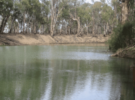 Balranald Club Motel - Accommodation NT 1