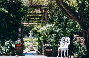 Bowral Cottage Inn - Accommodation NT 2