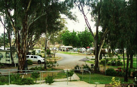 Buronga Riverside Tourist Park - Accommodation NT 4