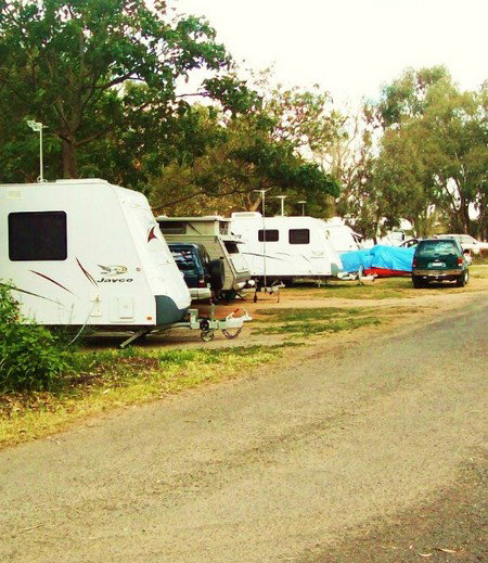 Buronga Riverside Tourist Park - Accommodation NT 5