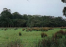 Bush Haven - Accommodation NT 4