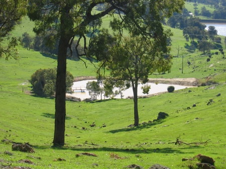 Vista Ridge Estate - Top Paddock Cottage - Accommodation NT 3