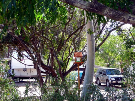 Kojonup Caravan Park - Accommodation NT 1