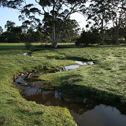 Bolganup Homestead - Accommodation NT 3