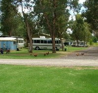 Harvey Rainbow Caravan Park - Accommodation NT
