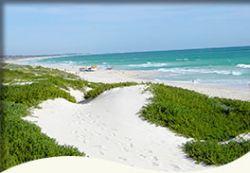 Trigg Retreat Bed And Breakfast - Accommodation NT 5