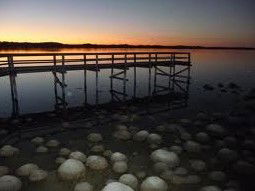 Lake Clifton WA Accommodation NT