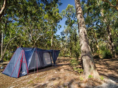 Boomeri Campground - Accommodation NT 1