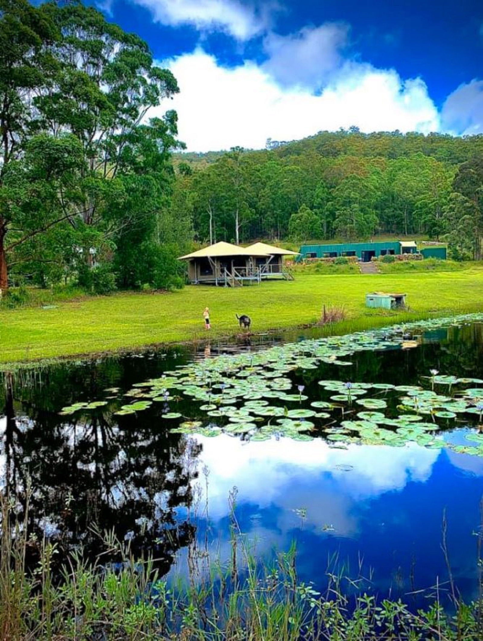 Warranulla NSW Accommodation NT