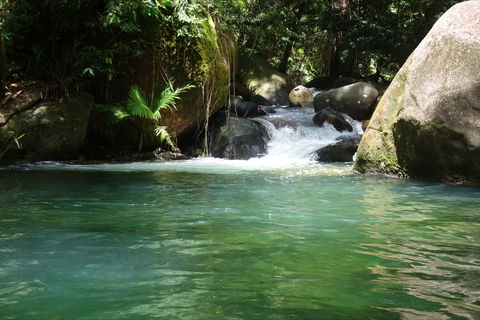 Daintree Secrets Rainforest Sanctuary - Accommodation NT 0