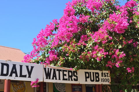 Daly Waters Historic Pub - Accommodation NT 0