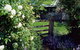 Hamilton's Cottage Collection And Country Gardens - Edwards - thumb 0