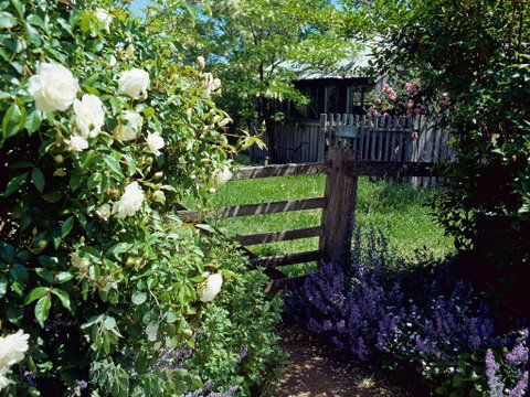 Hamilton's Cottage Collection And Country Gardens - Edwards - Accommodation NT 0