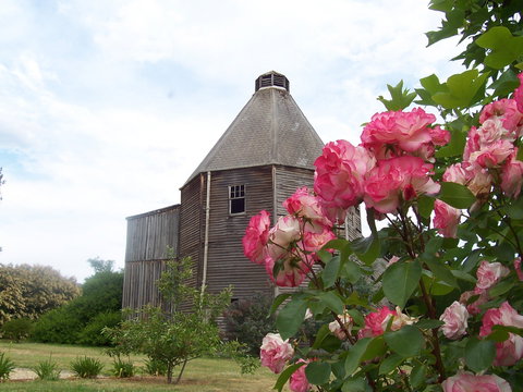 Matilda's Of Ranelagh - Accommodation NT 2