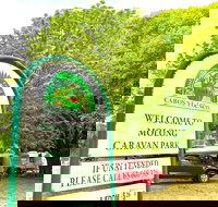 Molong Caravan Park - Accommodation NT