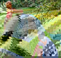 Native Dog campground - Accommodation NT