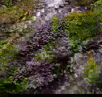 Nimbin Waterfall Retreat - Accommodation NT