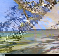 Shoal Cape Camp at Stokes National Park - NT Tourism