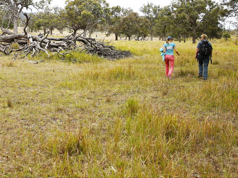 Sundown National Park Camping - Accommodation NT 2