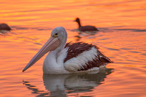4 Pelican Court - River Shack Rentals - Accommodation NT 0