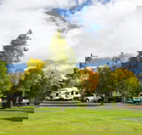 Armidale Tourist Park - Accommodation NT