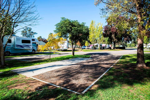 BIG4 Bendigo Marong Holiday Park - Accommodation NT 1