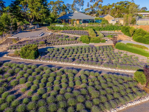 Brayfield Cottage - Accommodation NT 1