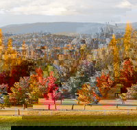 City Centre Motor Inn - Accommodation NT