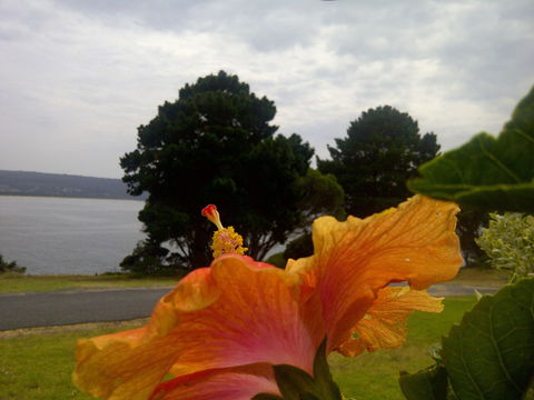 Eden Oceanview - Accommodation NT 1