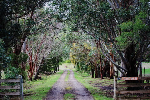 Galwiji Homestead - Accommodation NT 1