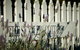 Mayfield Vineyard Cottages - thumb 0