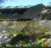 Melaleuca - Eco and Pet Friendly  Harbor Point Cabins - Accommodation NT