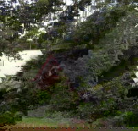 Turkeys Nest Rainforest Cottages Mt Glorious - Accommodation NT