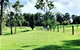 Sunshine Coast Farm Stay  - thumb 3