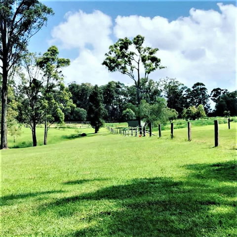 Sunshine Coast Farm Stay  - NT Tourism 3