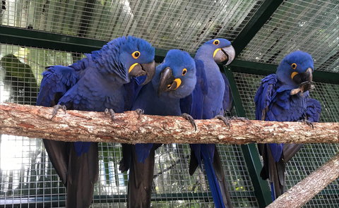 Ashmore Palms Holiday Village - Accommodation NT 2