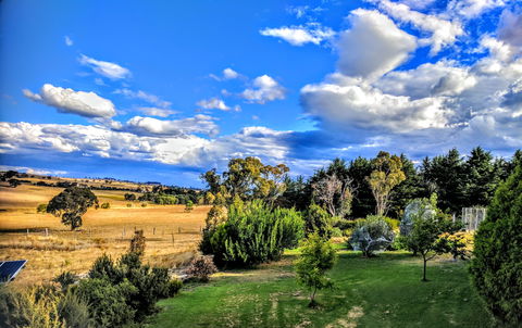 Dairy Park Farm Stay Bed And Breakfast - Accommodation NT 1