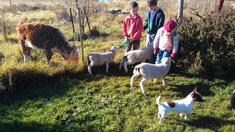 Dairy Park Farm Stay Bed And Breakfast - Accommodation NT 2