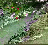 Padthaway Caravan Park - Accommodation NT