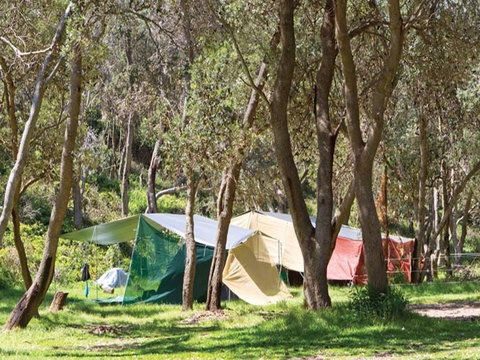 Pebbly Beach Campground - Yuraygir National Park - Accommodation NT 1
