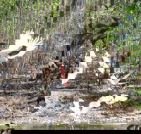 Rakhi Retreat - Accommodation NT