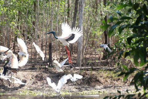 Rakhi Retreat - Accommodation NT 0