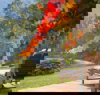 Riverdowns - Accommodation NT