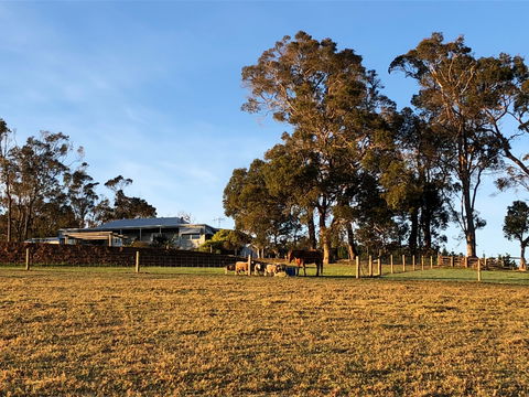 Great Southern Outback Tours & Accommodation - Accommodation NT 2